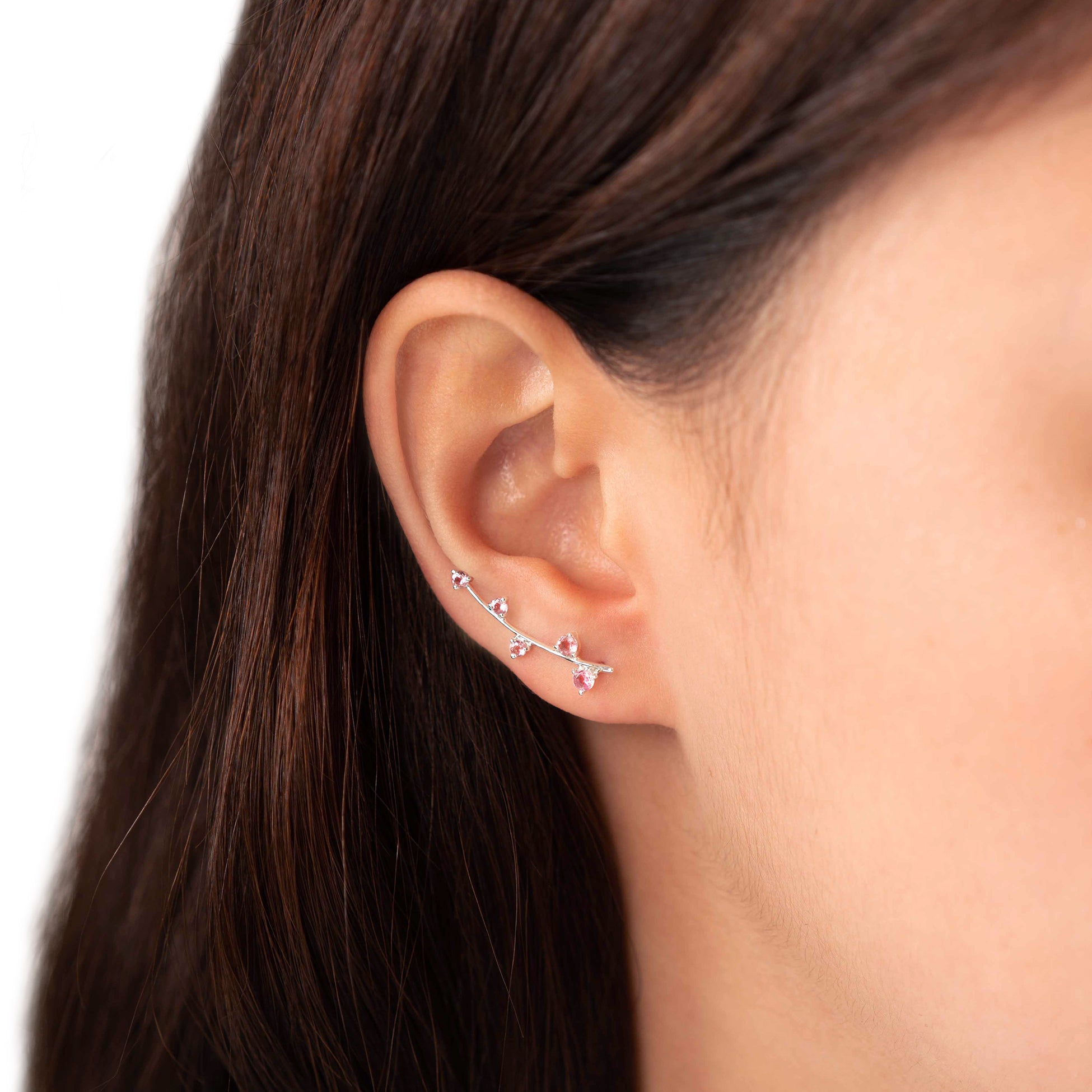 Aquarius Ear Climbers