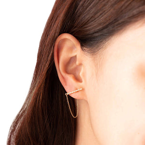 _ Link Earrings